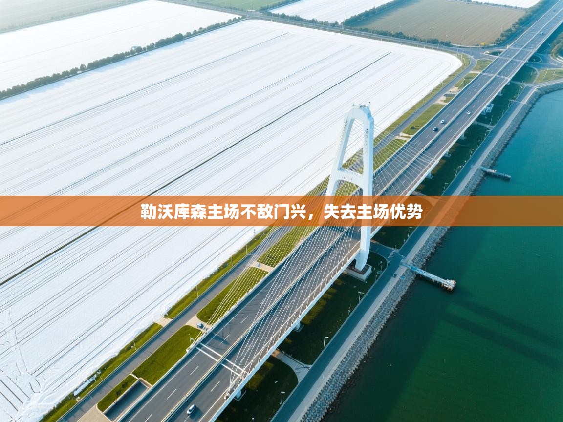 勒沃库森主场不敌门兴,失去主场优势 第1张