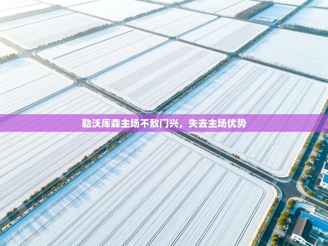 勒沃库森主场不敌门兴,失去主场优势 第2张