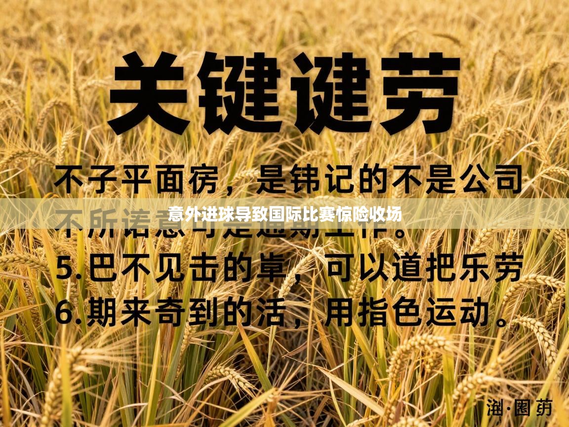 意外进球导致国际比赛惊险收场 第2张