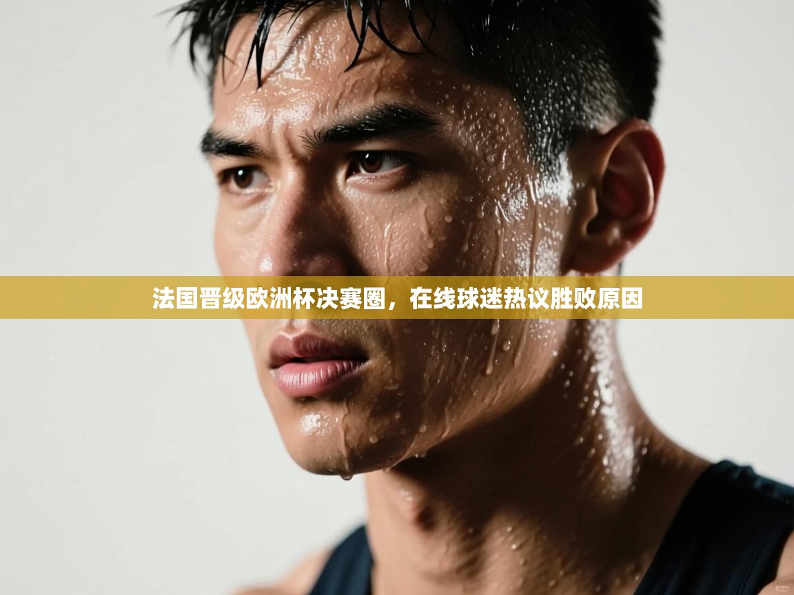 法国晋级欧洲杯决赛圈，在线球迷热议胜败原因  第2张