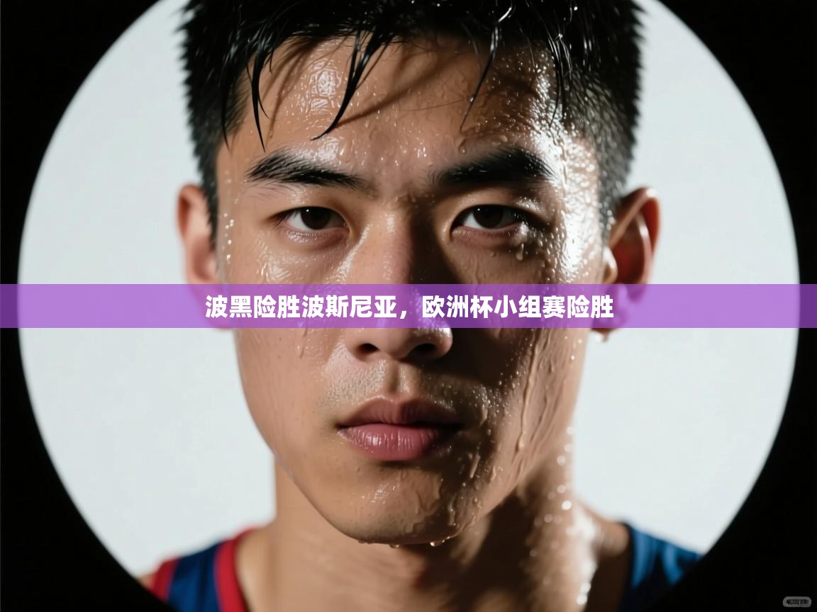 波黑险胜波斯尼亚，欧洲杯小组赛险胜  第1张