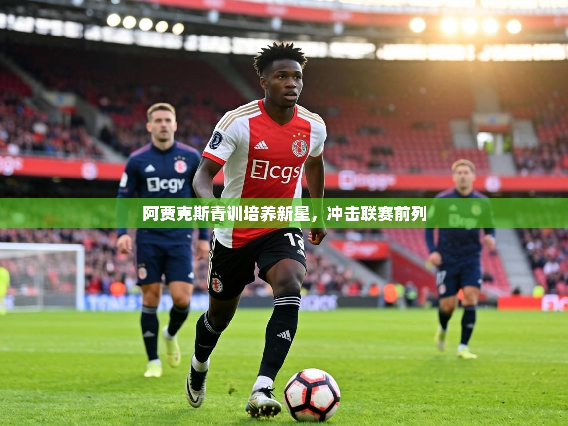 阿贾克斯青训培养新星，冲击联赛前列  第1张